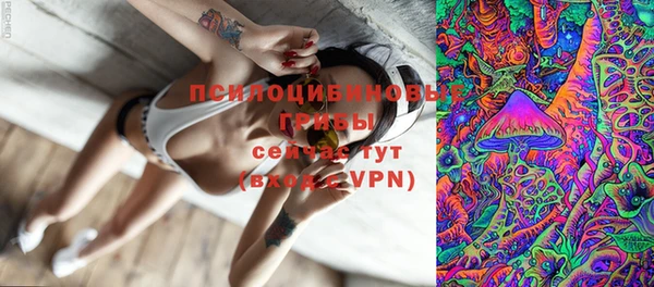 шишки Касимов