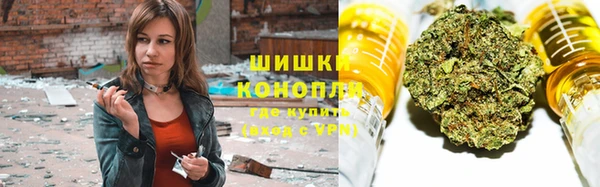 шишки Касимов